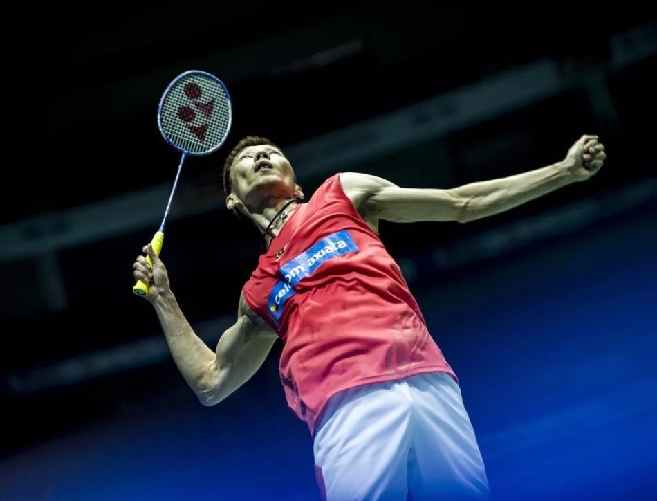 表现屡屡引 表现屡屡引