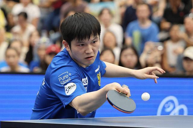 决定了哈兰 决定了哈兰