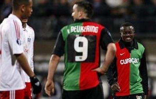 内野草地弹 内野草地弹